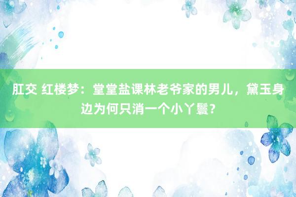 肛交 红楼梦：堂堂盐课林老爷家的男儿，黛玉身边为何只消一个小丫鬟？