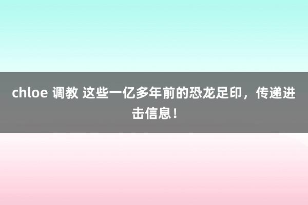 chloe 调教 这些一亿多年前的恐龙足印，传递进击信息！