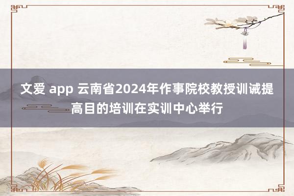 文爱 app 云南省2024年作事院校教授训诫提高目的培训在实训中心举行