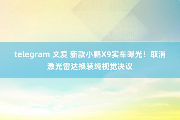 telegram 文爱 新款小鹏X9实车曝光！取消激光雷达换装纯视觉决议