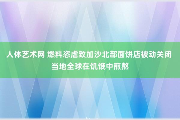 人体艺术网 燃料恣虐致加沙北部面饼店被动关闭 当地全球在饥饿中煎熬